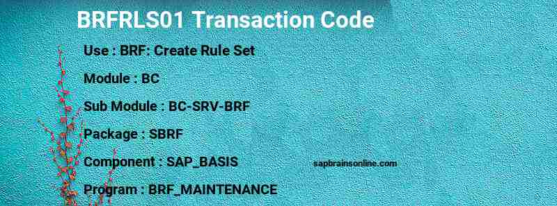 SAP BRFRLS01 transaction code