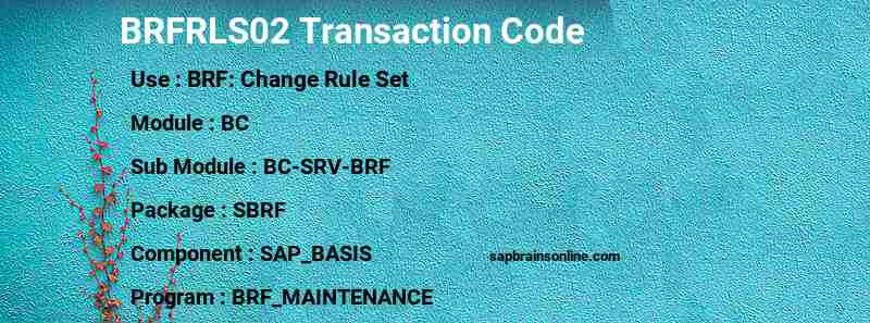 SAP BRFRLS02 transaction code