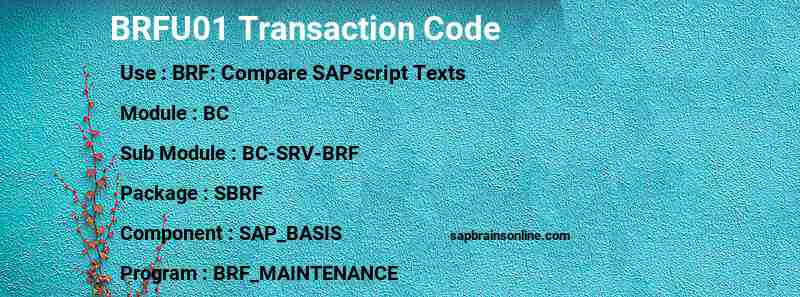 SAP BRFU01 transaction code