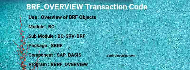 SAP BRF_OVERVIEW transaction code
