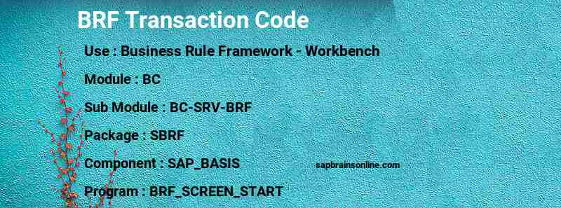 SAP BRF transaction code