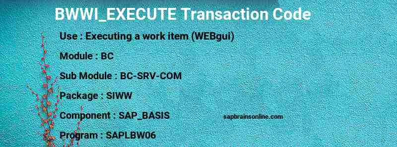 SAP BWWI_EXECUTE transaction code