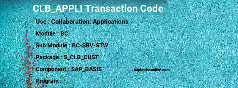 SAP CLB_APPLI transaction code