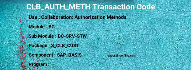 SAP CLB_AUTH_METH transaction code