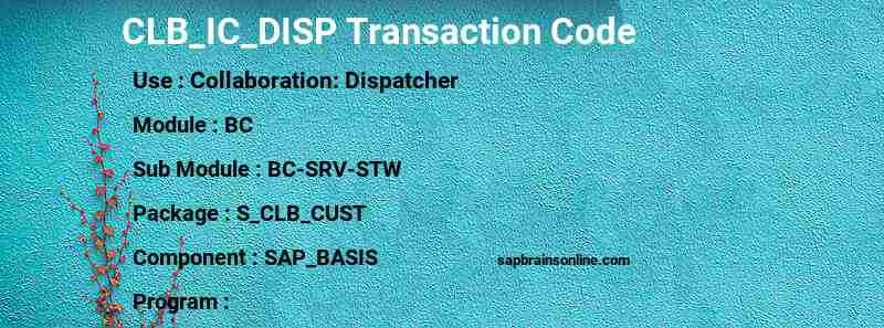 SAP CLB_IC_DISP transaction code