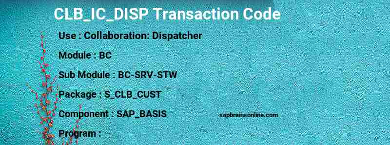 SAP CLB_IC_DISP transaction code