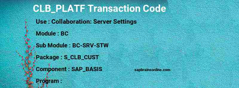 SAP CLB_PLATF transaction code
