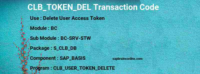 SAP CLB_TOKEN_DEL transaction code