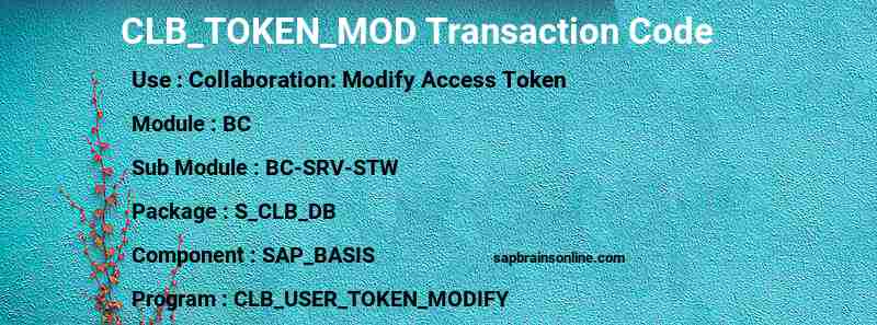 SAP CLB_TOKEN_MOD transaction code
