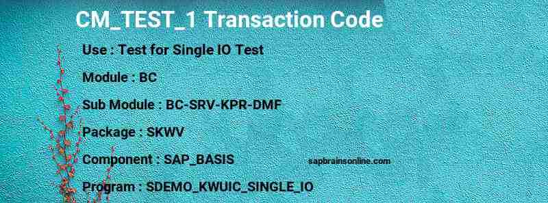 SAP CM_TEST_1 transaction code