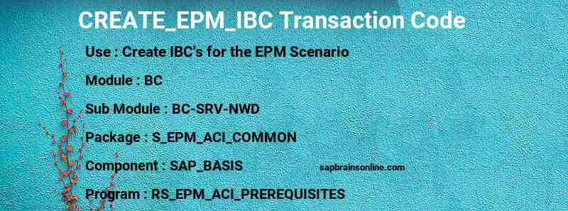SAP CREATE_EPM_IBC transaction code