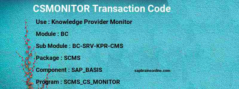 SAP CSMONITOR transaction code