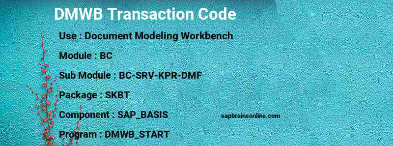 SAP DMWB transaction code
