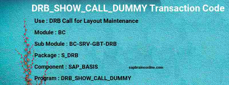 SAP DRB_SHOW_CALL_DUMMY transaction code