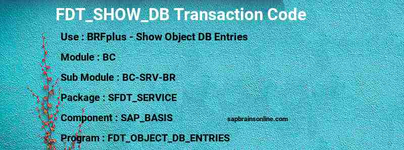 SAP FDT_SHOW_DB transaction code