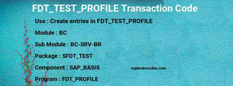 SAP FDT_TEST_PROFILE transaction code