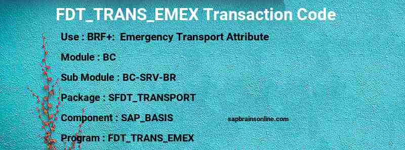 SAP FDT_TRANS_EMEX transaction code