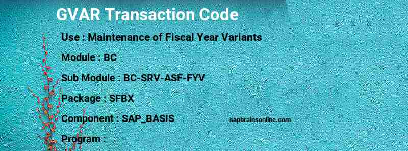 SAP GVAR transaction code