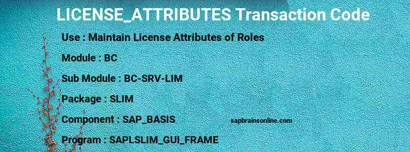 SAP LICENSE_ATTRIBUTES transaction code