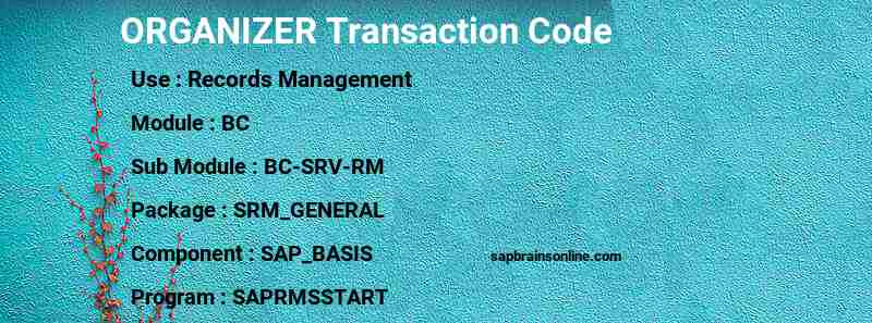 SAP ORGANIZER transaction code