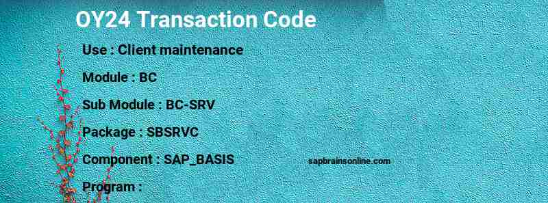 SAP OY24 transaction code