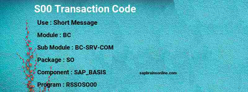 SAP S00 transaction code