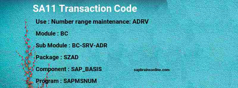 SAP SA11 transaction code