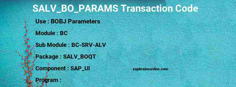 SAP SALV_BO_PARAMS transaction code