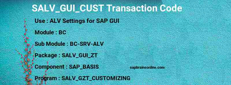SAP SALV_GUI_CUST transaction code