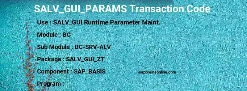 SAP SALV_GUI_PARAMS transaction code