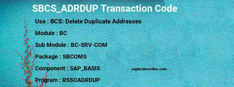 SAP SBCS_ADRDUP transaction code