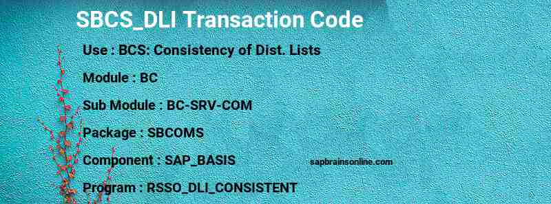 SAP SBCS_DLI transaction code