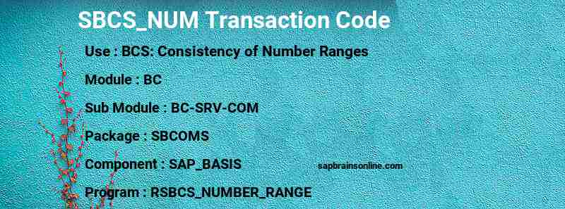 SAP SBCS_NUM transaction code