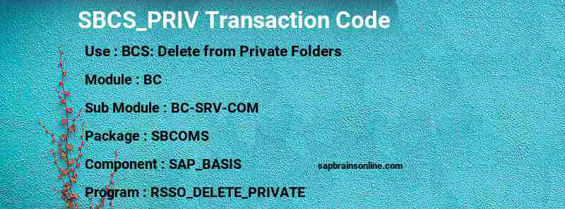SAP SBCS_PRIV transaction code