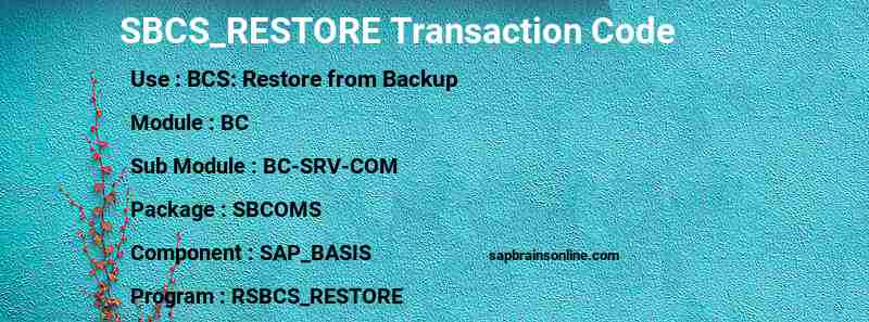 SAP SBCS_RESTORE transaction code