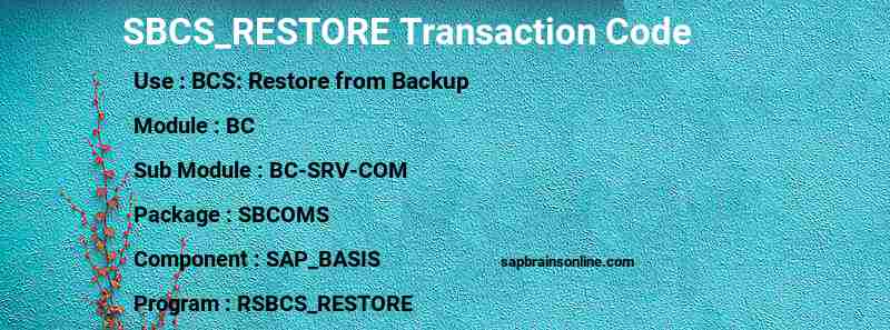 SAP SBCS_RESTORE transaction code