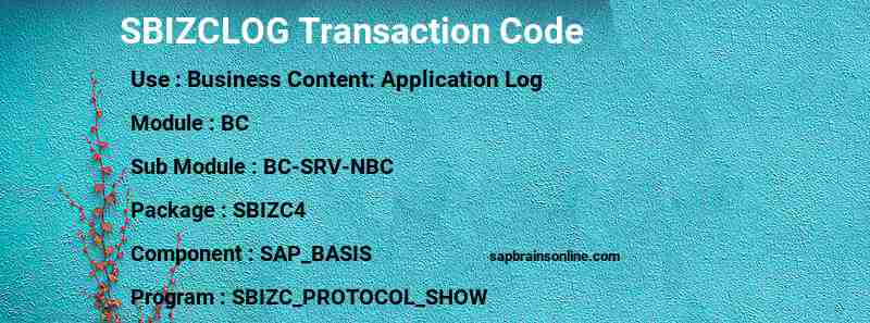 SAP SBIZCLOG transaction code