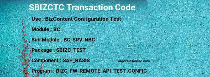 SAP SBIZCTC transaction code