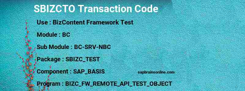 SAP SBIZCTO transaction code