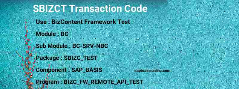 SAP SBIZCT transaction code