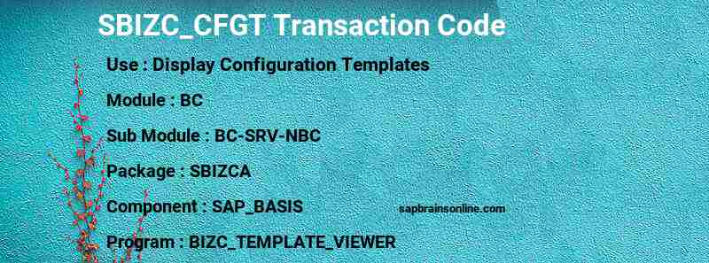 SAP SBIZC_CFGT transaction code
