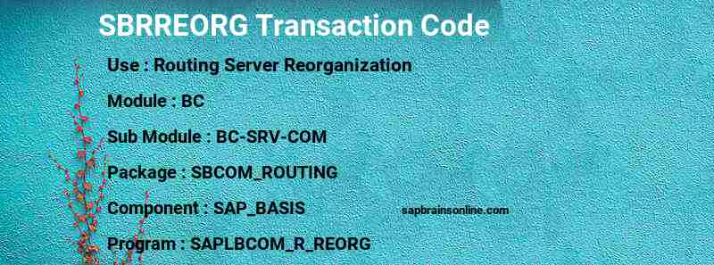 SAP SBRREORG transaction code