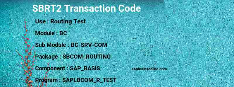 SAP SBRT2 transaction code