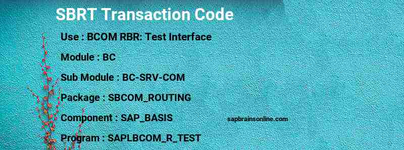 SAP SBRT transaction code