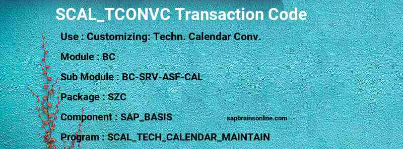 SAP SCAL_TCONVC transaction code