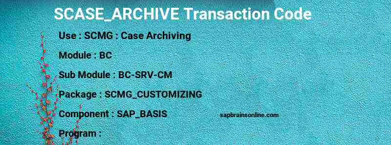 SAP SCASE_ARCHIVE transaction code