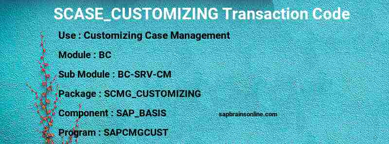 SAP SCASE_CUSTOMIZING transaction code