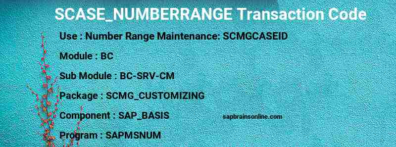 SAP SCASE_NUMBERRANGE transaction code