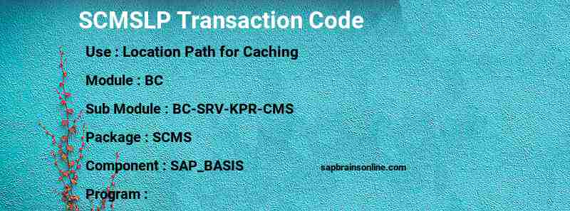 SAP SCMSLP transaction code