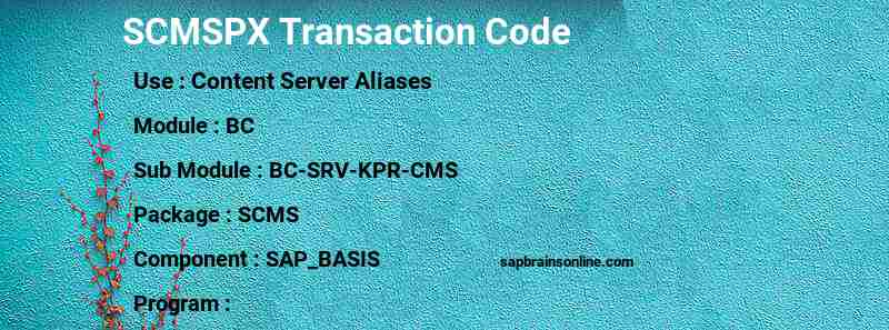 SAP SCMSPX transaction code